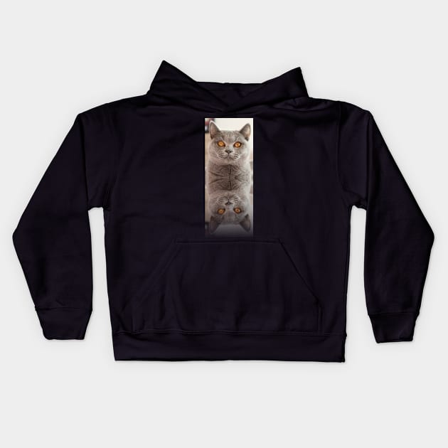 Russian Blue Cat X 2 Kids Hoodie by Comic Dzyns